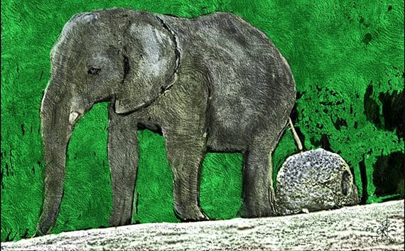 My First Attempt At Digital Art